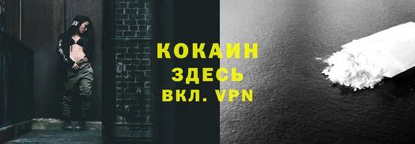 шишки Арсеньев
