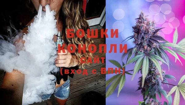 шишки Арсеньев