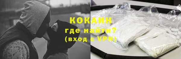 шишки Арсеньев