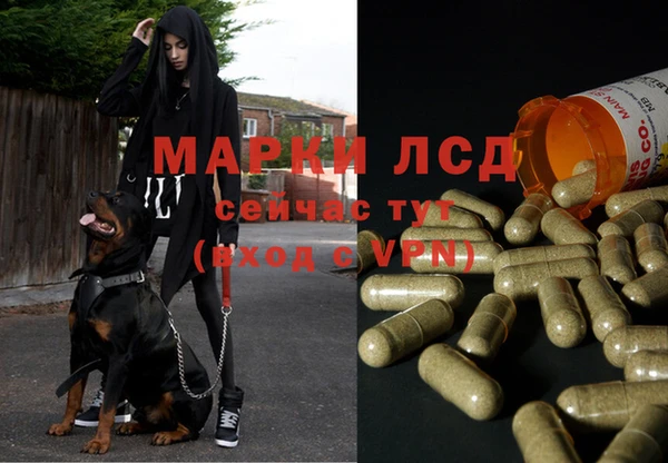 СК Алзамай