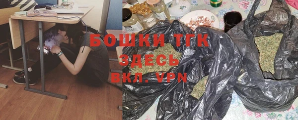 шишки Арсеньев