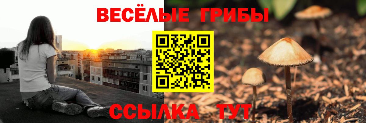 Галлюциногенные грибы MAGIC MUSHROOMS Набережные Челны